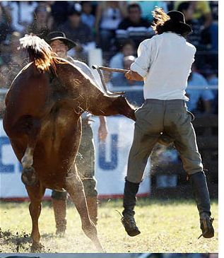 Подборка забавных и курьезных фотографий