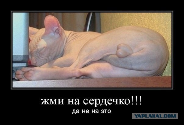 Весёлые картинки. Разбавим будни