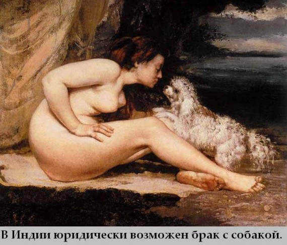 Факты в картинках