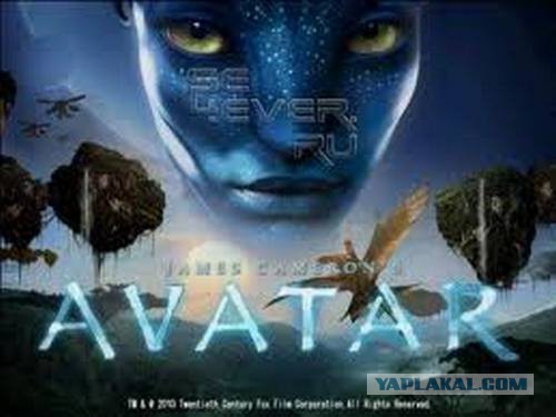 Цензор про ЯП. Учат троллингу )))))