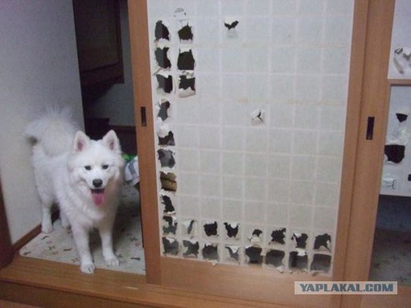 Для настроения!