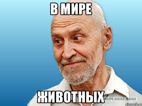 Разборки в Нью-Йоркском сабвее, осторожно, вертикалка!