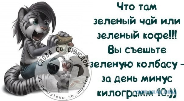 Смешные комментарии из социальных сетей 11.11.2014