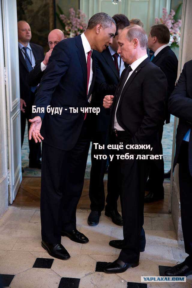 Одна жаба