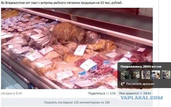 Смешные комментарии 18.01.2015