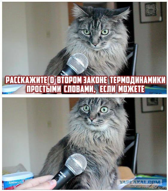 Забавные картинки из Сети