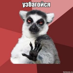 Если хамят на дороге