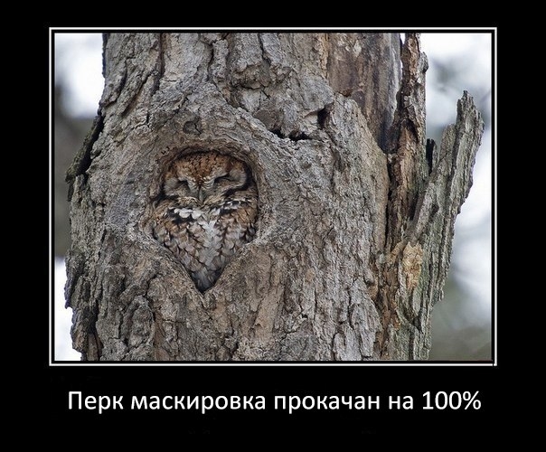 Немного WOT юмора.