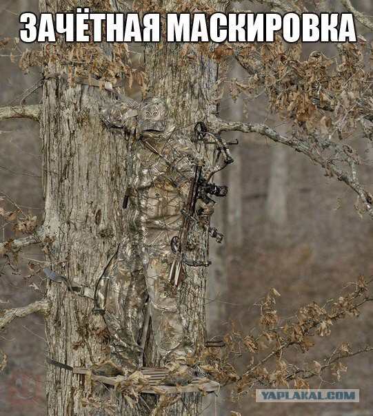 Для поднятия настоения