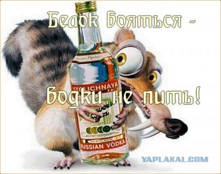 Извечная битва с пьянством