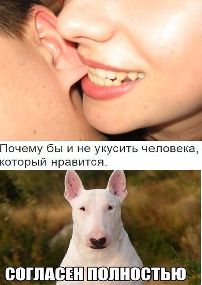 Подборка прикольных картинок из сети