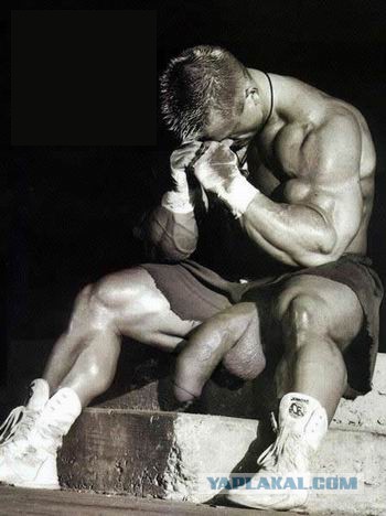 Верю-не верю: 18 правдивых фактов