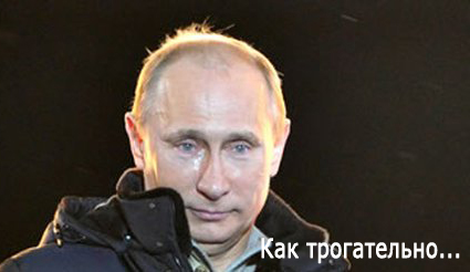Более 200 неоплаченных дорожных штрафов
