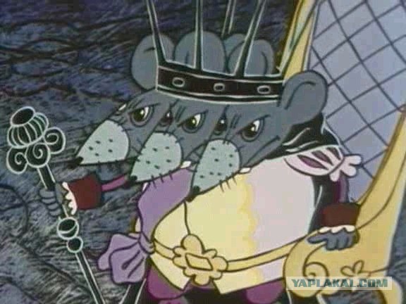 Полугодовое противостояние человека и крысы