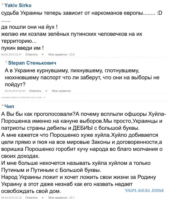 СМИ: 64% голландцев высказались против ассоциации Украины с ЕС