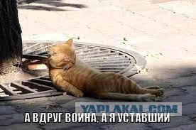 Путин удешевил "пушечное мясо"?