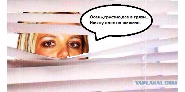 Абсурдный юмор ч. 23