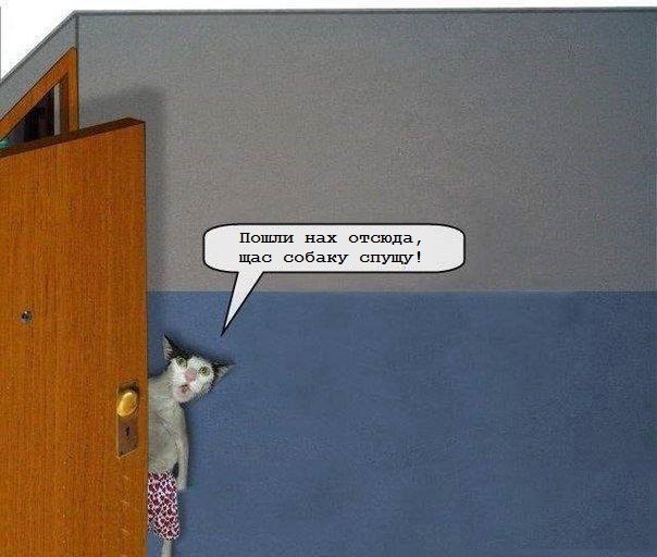 Абсурдный юмор ч.24