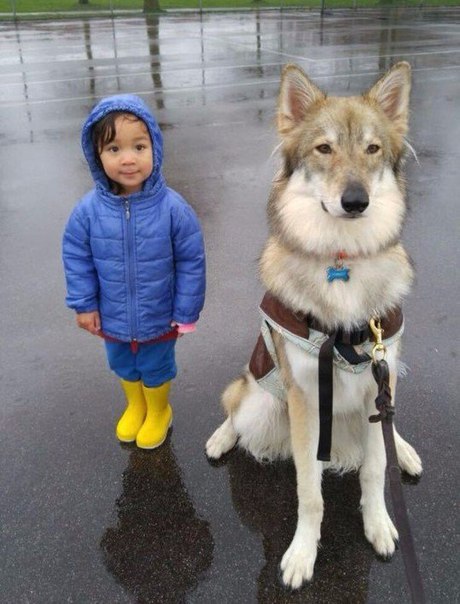 Подборка интересных и веселых фото