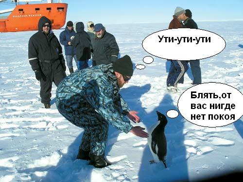 Фотожаба: Полярники окружают!