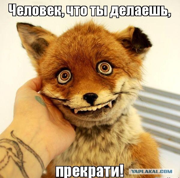 Кто и когда строил древние города?