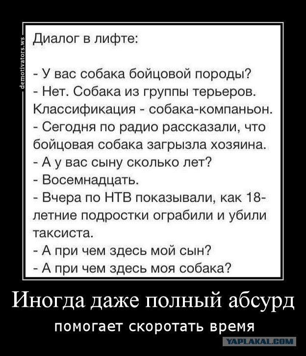 Сборище абсурда