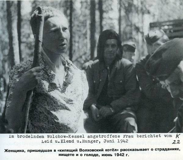 Волховский фронт. 1942. Взгляд с той стороны.