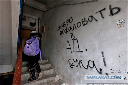 Пора вари... валить бетон! "Альты", шах и мат!