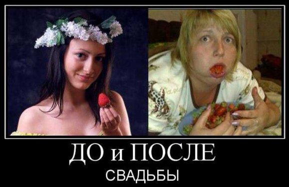 Современные девушки - неумехи?