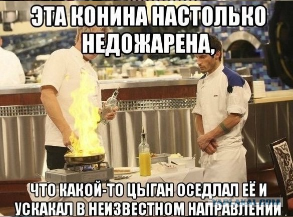 Ответы Гордона Рамзи поварам любителям в твиттер.