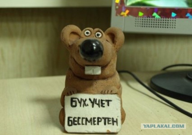 Вся бухгалтерия порно-ролика