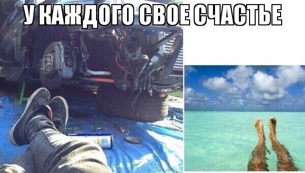 Смешные картинки