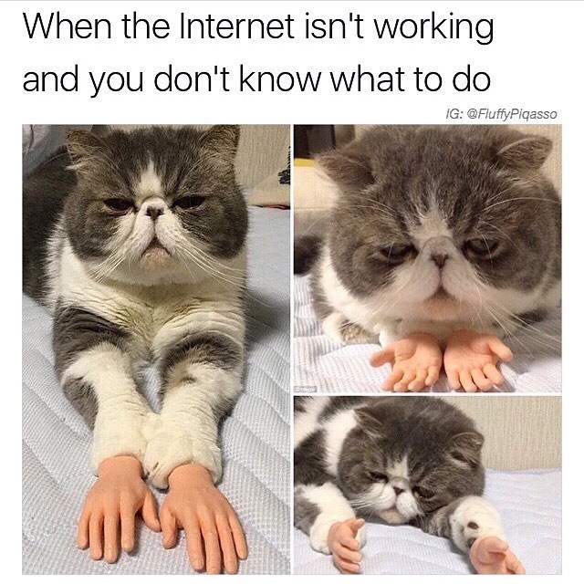 Немного картинок