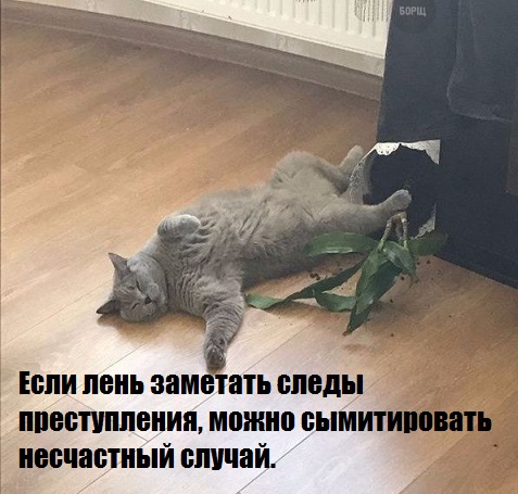 В понедельник