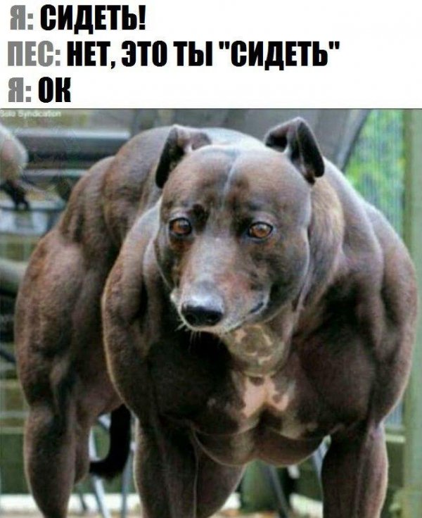Приколы в стиле "регресс"
