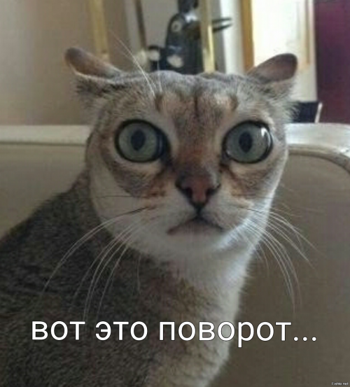 Сериал "Доктор Рихтер "Куда заползают клещи?"