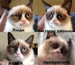 Вы всё ещё хотите замуж?...