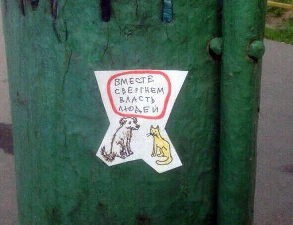 Вижу рифмы