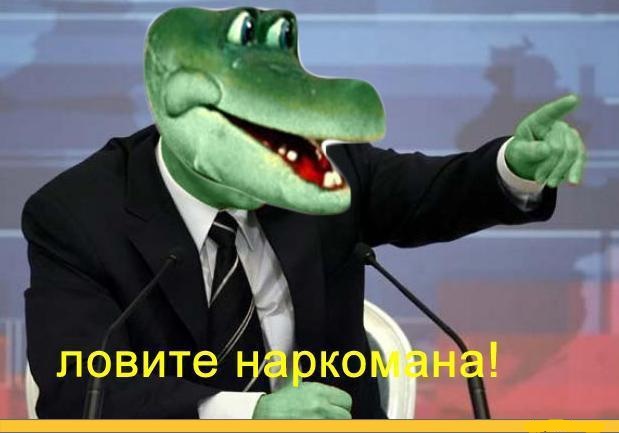 Самые известные мемы в истории Интернета