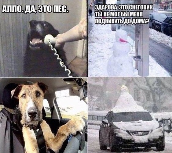 Не очень адекватный юмор