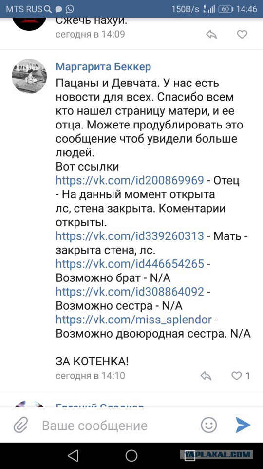 Дело живодерок №2