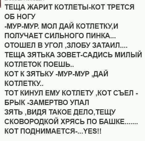 Анекдоты, соц-сети, истории и картинки с надписями