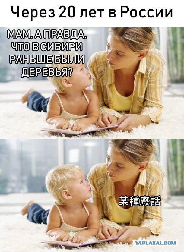 Не будет здесь тайги при нашей жизни