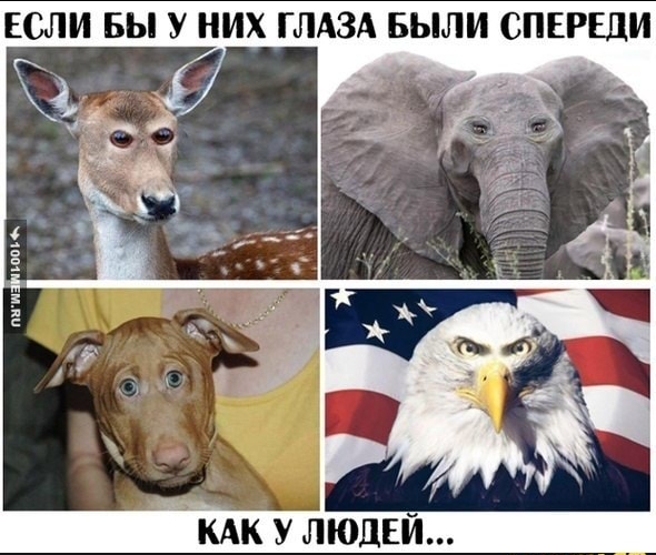 Небольшая подборочка для настроения