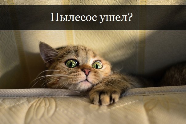 Немного картинок для настроения 29.10.19