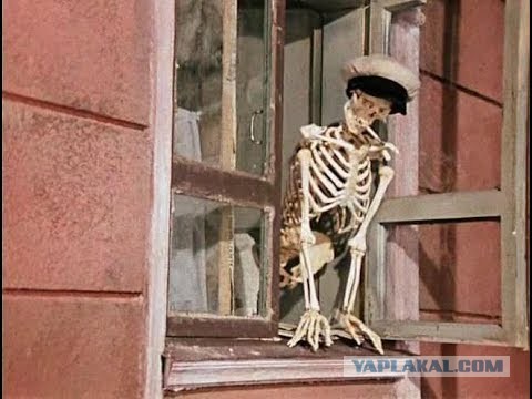 Одинокая девушка после 35 лет должна иметь квартиру и хорошую работу