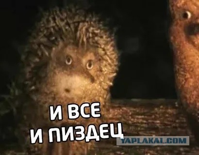 Друзья в беде не бросят