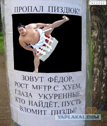 Фотожаба: Такое разное сумо...