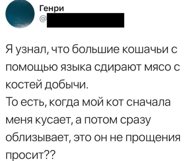 Юмор в картинках 7.11.20