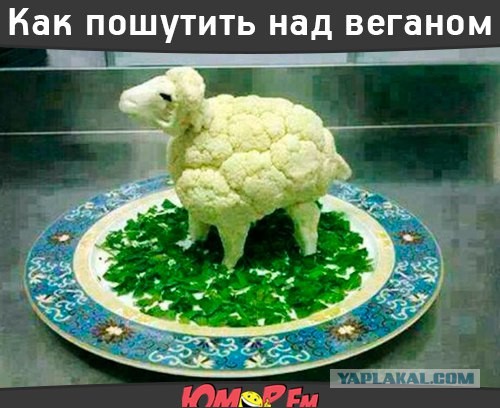 Почему я ем мясо. 5 аргументов в споре с вегетарианцами